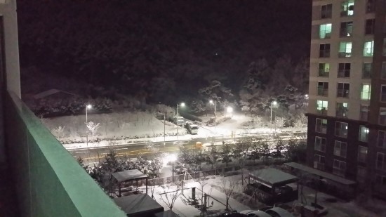  우리동네 벛꽃 겨울과 봄모습