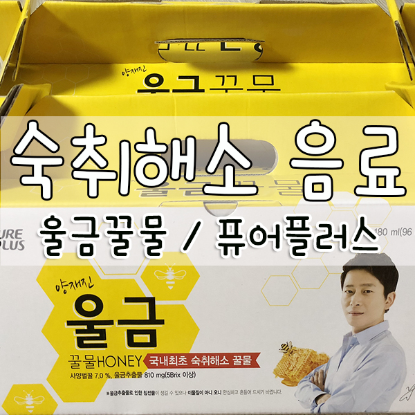  퓨어플러스 :: 숙취해소음료 양재진울금꿀물!