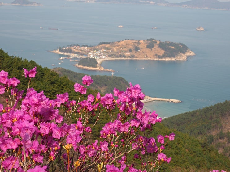  거제 대금산 (2018년 4월 1일)