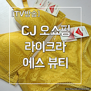 CJ 오쇼핑 라이크라 에스 뷰티 풀커버 무브 속옷 / 홈쇼핑 속옷