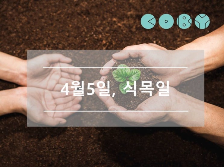  4월 5일 식목일의 의미와 공휴일 제외 이유