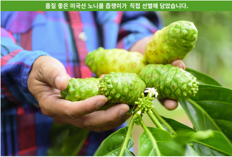 다이어트건강즙] 즙쟁이 유기농 노니즙으로 건강한 다이어트 같이해요~