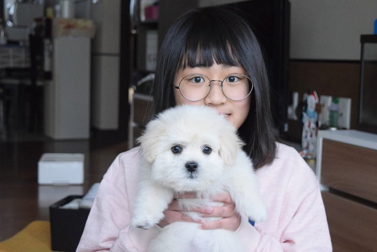  사랑하는 펫을 위한 강아지보험, 교보라이프플래닛 펫사랑정기보험