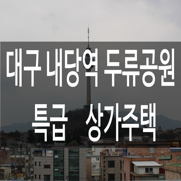  대구부동산 내당역 두류공원 3분 특급상가주택