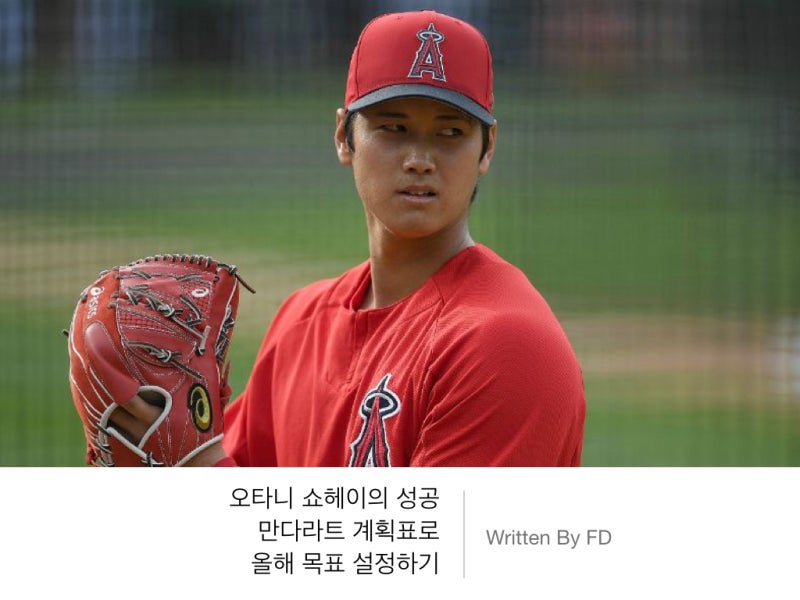 ì˜¤íƒ€ë‹ˆ ì‡¼í—¤ì´ì˜ ì„±ê³µ ë§Œë‹¤ë¼íŠ¸ ê³„íší'œë¡œ ì˜¬í•´ ëª©í'œ ì„¤ì •í•˜ê¸° ë„¤ì´ë²„ ë¸
