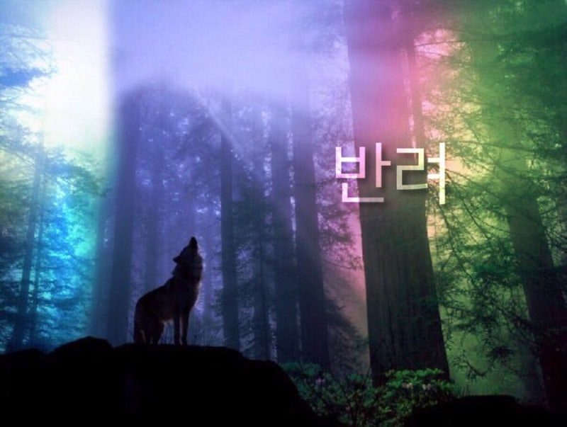 [EXO/Sehun/Wolf Fanfiction] Companion.02