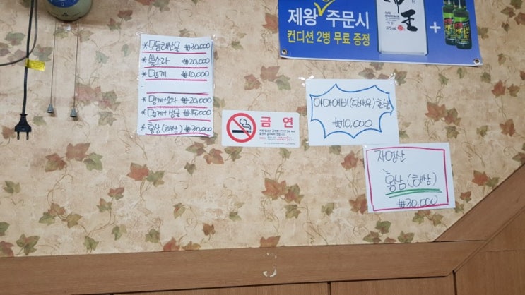  4월 꽃놀이 제주도여행