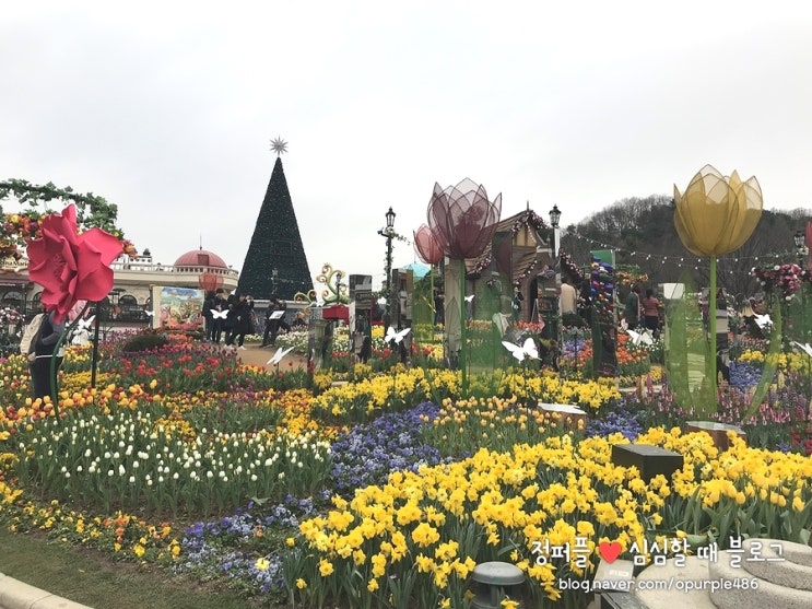  용인 에버랜드 꽃축제 튤립축제, 놀이기구 맘껏 누리기