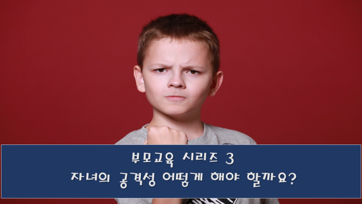  부모교육, 자녀의 공격성 예방과 대처법
