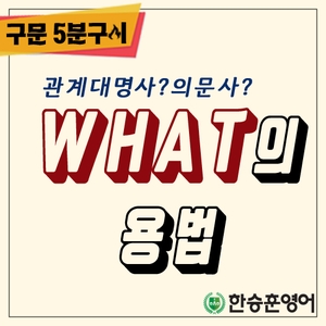  [구문5분구이] 관계대명사what&관계형용사what&의문대명사what&의문형용사what(한승훈영어,한승영어학원,수능영어,공무원영어)