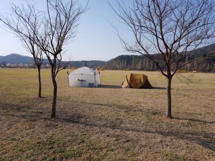 여주 강천섬 생일캠핑 & 영화 바람 바람 바람[4/7土~8日]