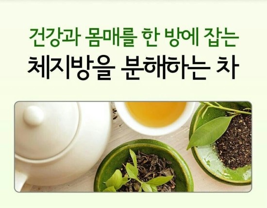  체지방을 분해하는차 6가지