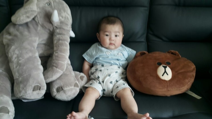  반팔입은 하쭈니