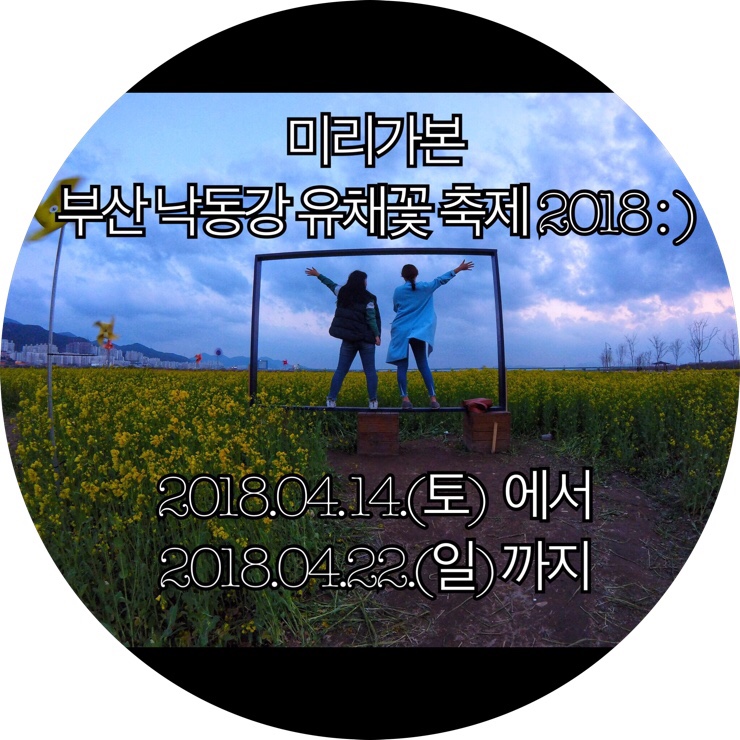  [4월 부산 축제 추천]부산 가볼만한곳! 미리 가본 부산 낙동강 유채꽃 축제 2018 : )