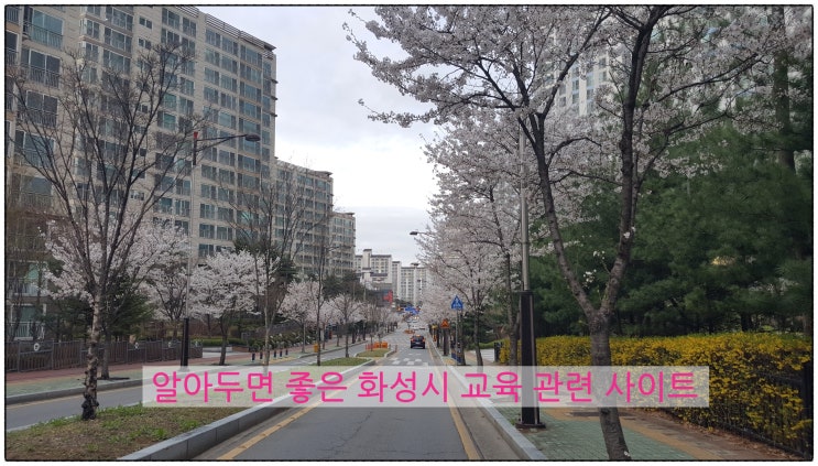  알아두면 좋은 화성시 교육 관련 사이트
