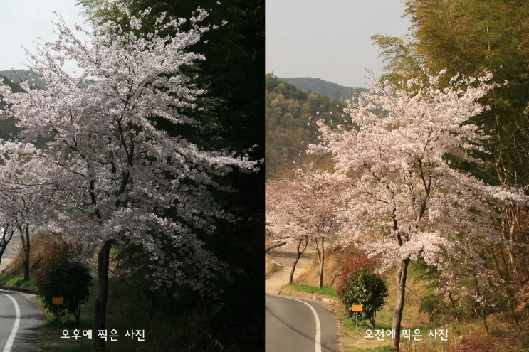  빛을 볼 줄 알아야 좋은 사진 - 거제송송