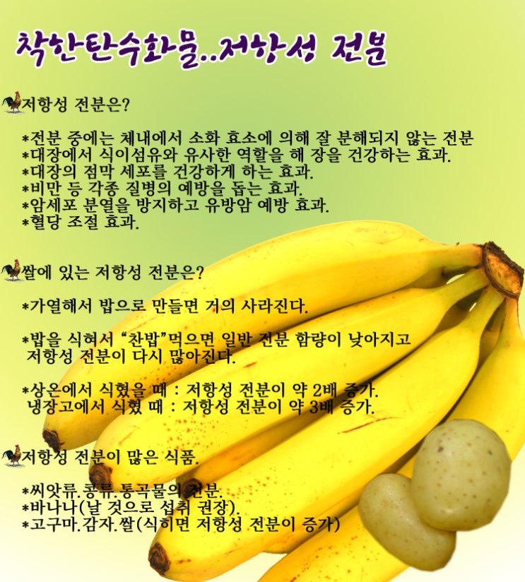  착한전분...저항성 전분이란.