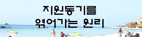  자소서의 신 - 지원동기를 엮어가는 원리
