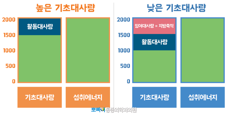 기초대사량 늘리는법 & 내 기초대사량 계산하기! : 네이버 블로그 기초대사량 늘리는법 & 내 기초대사량 계산하기! : 네이버 블로그