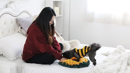  트랜디한 강아지옷 재미펫 '꽃길만걷개' 스너플매트-노즈워크 출시