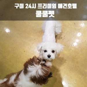 사진 3