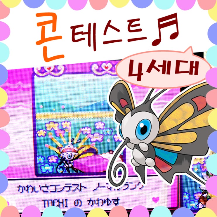  포켓몬스터 DP 콘테스트 도전 포켓몬들