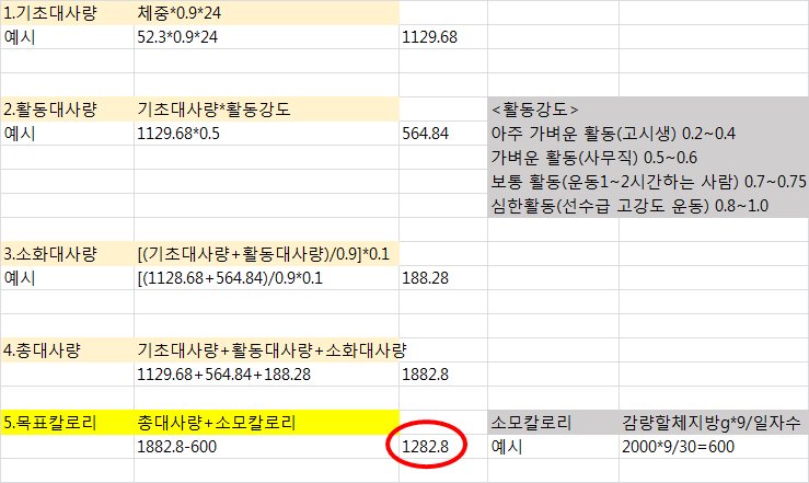  다이어트식단짜는방법1)목표칼로리,총대사량,단백질섭취량,탄단지비율