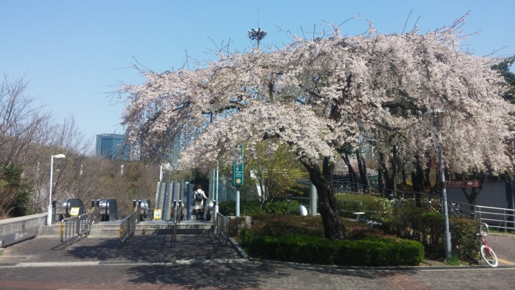  안전공감 마라톤 D-10 달리기 연습