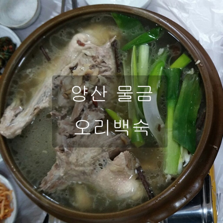  양산 물금 오리백숙 몸보신으로 완전 굿
