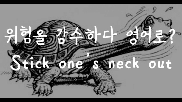  [1MIN 회화영어] 위험을 감수하다 영어로? stick one's neck out 원어민 영어표현