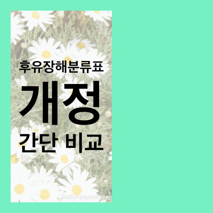  부부손해사정사와 후유장해보험금 개정 간단히 살펴봐요.