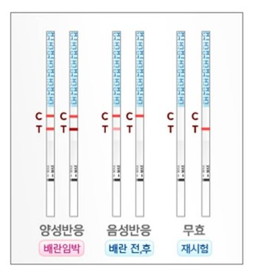  간단한 최적의 가임기(배란시기)에 숙제(부부관계)를 하는 방법