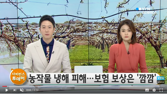 기상이변에 농작물 냉해 확산...재해보험 보상 힘들어 / YTN 사이언스 기상이변에 농작물 냉해 확산...재해보험 보상 힘들어 / YTN 사이언스