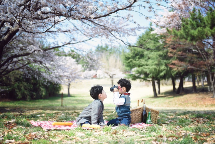 포항 봄스냅 (포항스냅 경주스냅 울산스냅)by 하담포토