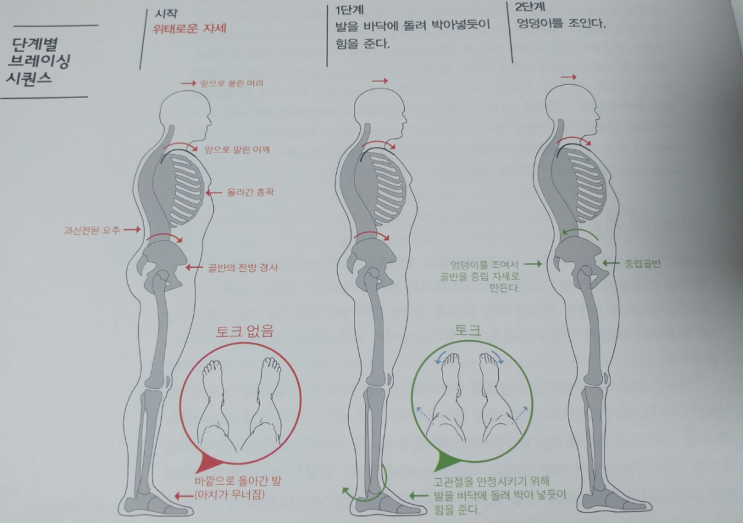 중립 자세 만들기!!