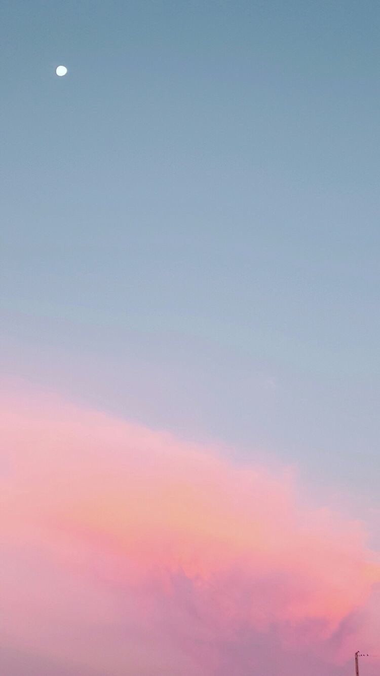 아이폰배경화면 33 텀블러 감성 : 네이버 블로그, image size:750x1333