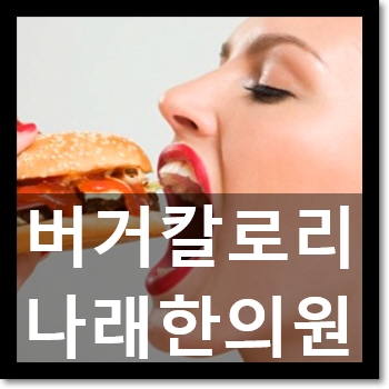  천안다이어트한약 C칼럼 005 : 버거킹 주니어 와퍼 칼로리 등