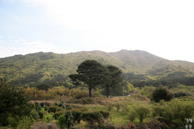 거제 학동 몽돌해변 숨어있는 산책로2 - 거제송송