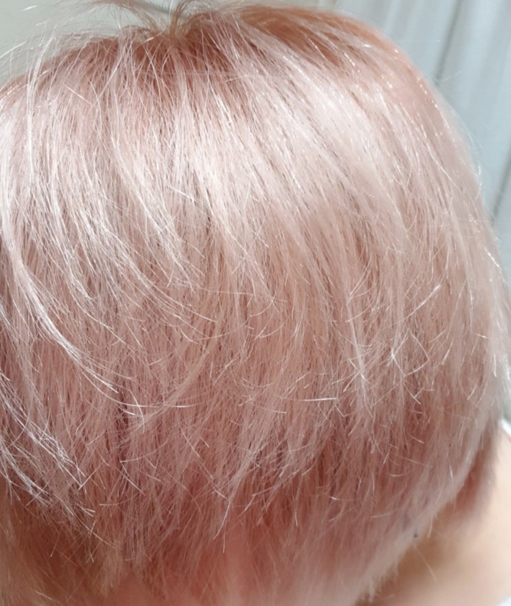  푸딩염색약 스모키애쉬블라썸 셀프탈색, 셀프염색 결과