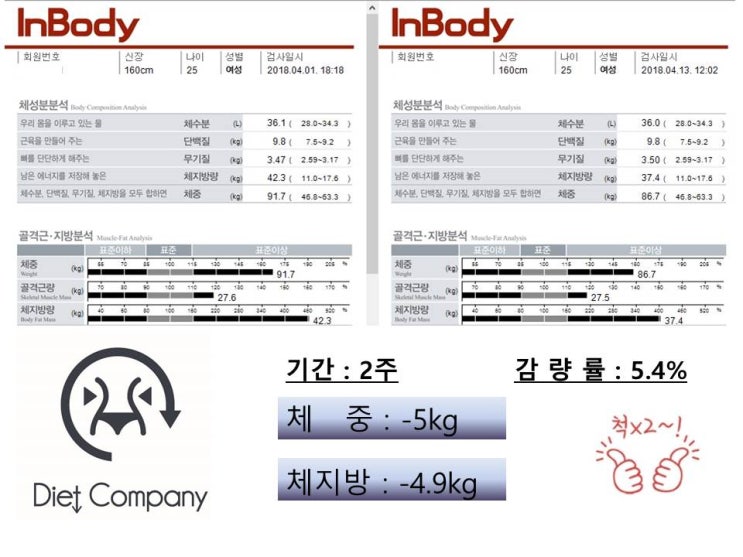  다이어트캠프 비포&애프터 2주여성