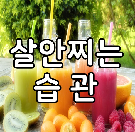 살안찌는 습관 알고보니 아주간단했다.