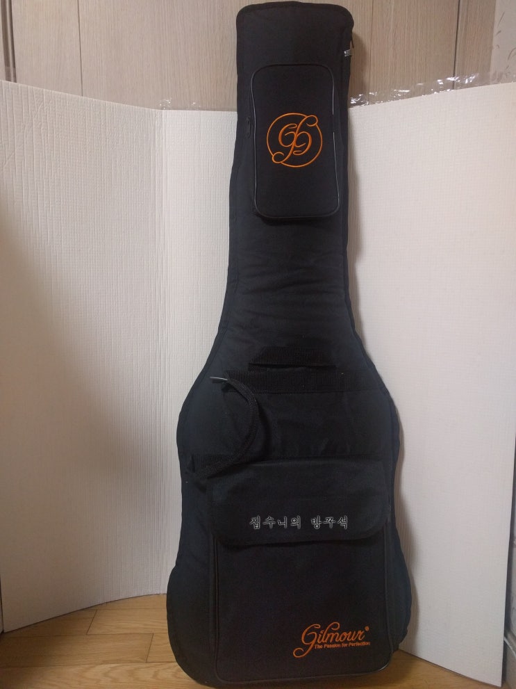  [매일매일 버리기]D+158_베이스기타