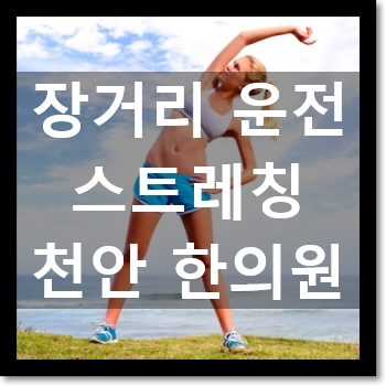  장거리운전 이영자 스트레칭 + 혈액순환 강화 스트레칭