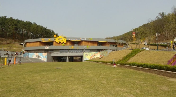  칠곡 꿀벌나라 테마공원 & 호국평화기념관