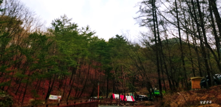  용화산자연휴양림(18.04.14~18.04.15)