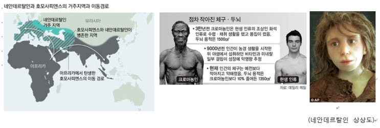  사피엔스
