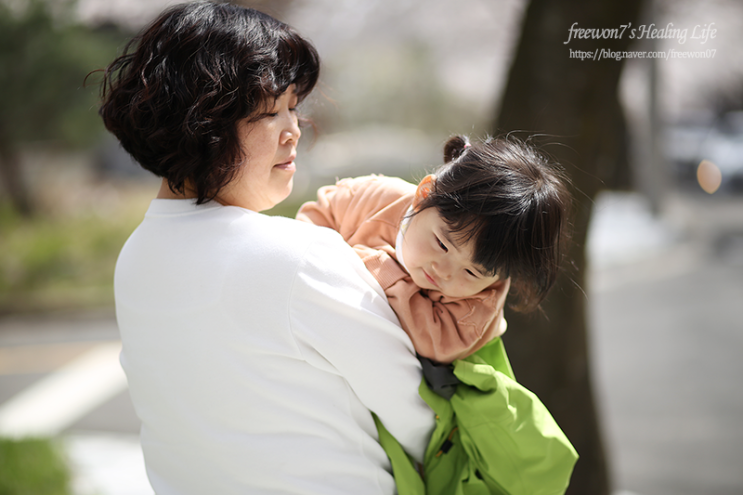  뇌교육 솔라베이비랑 놀기