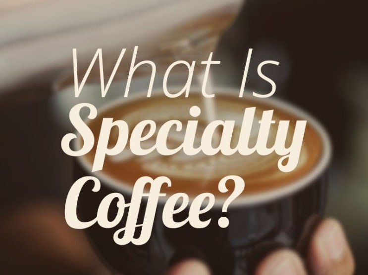  원효로 용산 카페 Cafe L_T& Found 로스트앤파운드 2편 : 스페셜티 커피 the specialty coffee association