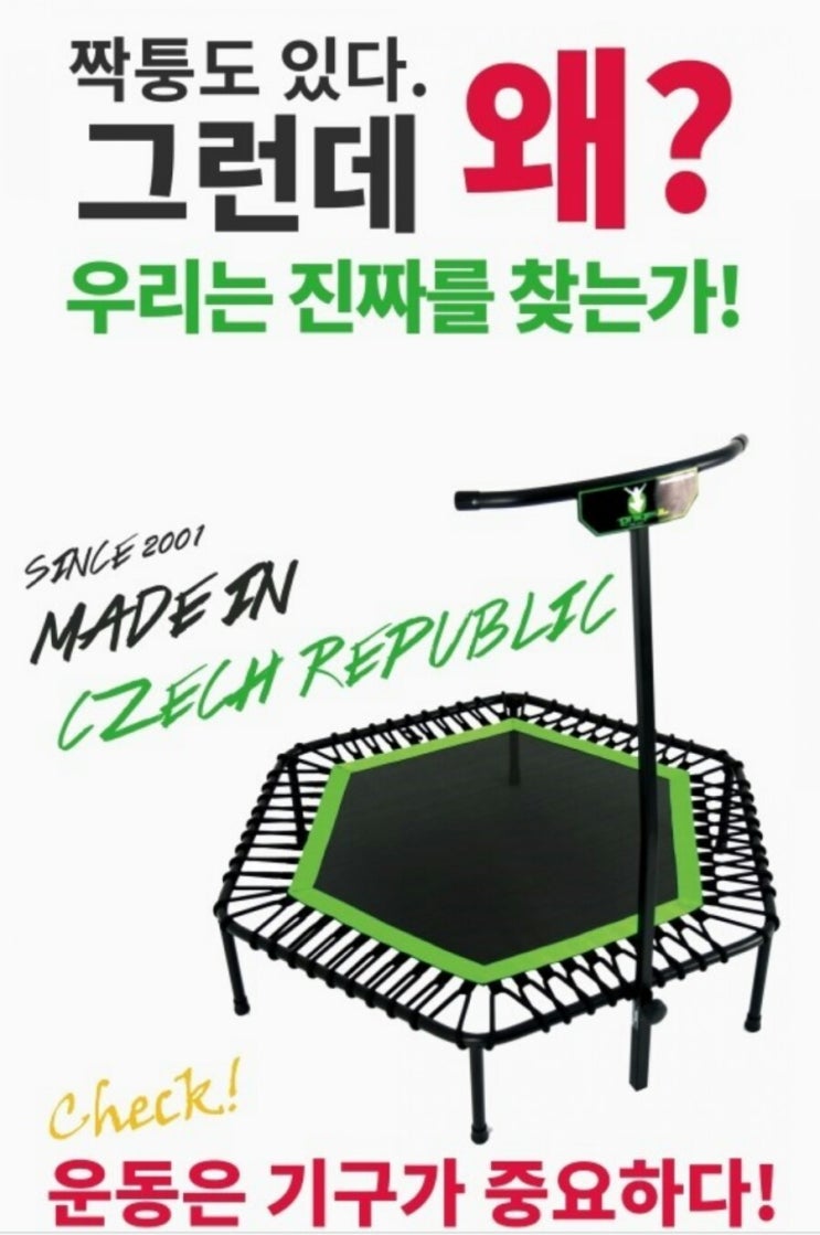  오니지널 트램폴린