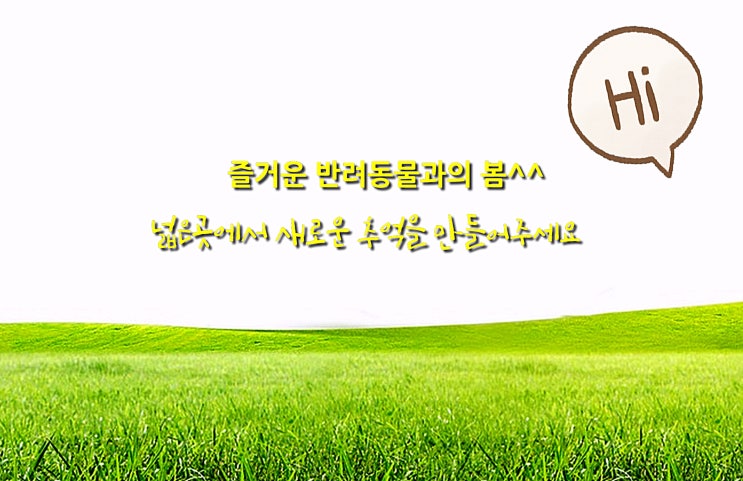  한국에서 필리핀 마닐라 강아지 고양이 검역/서류/허가/운송 마닐라->클락까지 운송검역 說